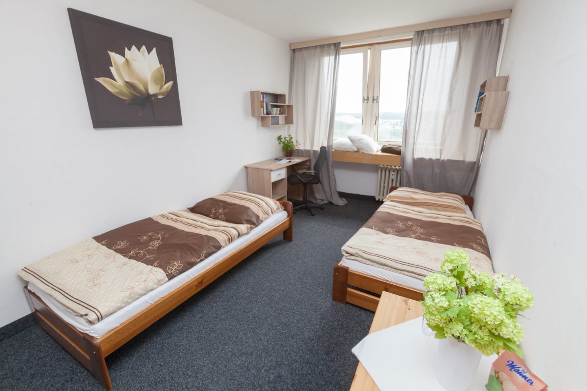 Dvojlůžkový pokoj - apartmán