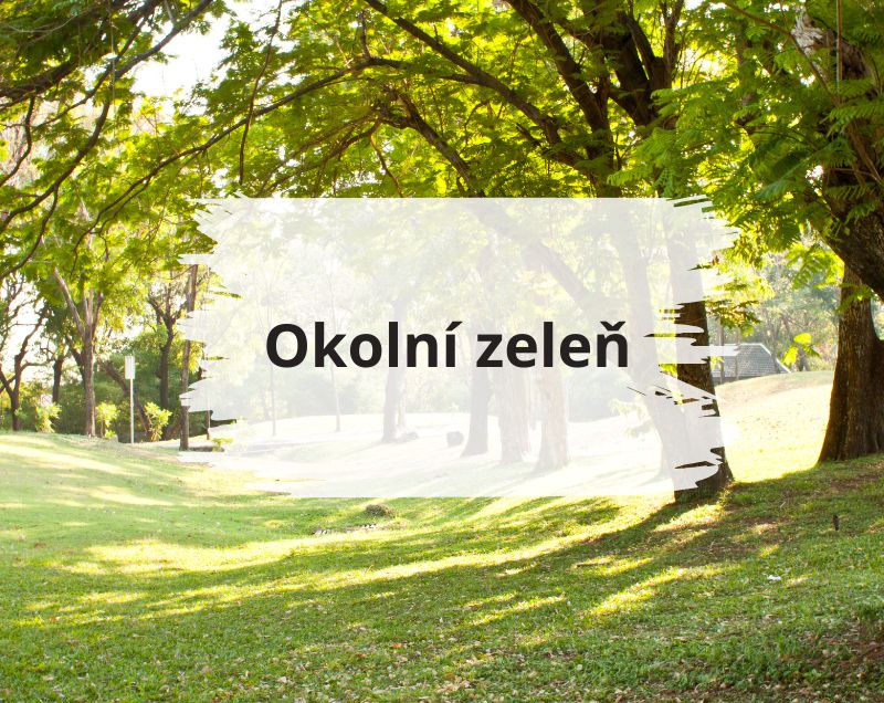 zeleň